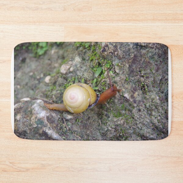 Item preview, Terrestrial Snail at Tumalog Falls Cebu, Philippines designed and sold by The Botanical Jason.
