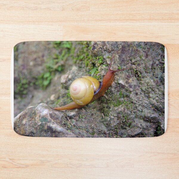 Item preview, Terrestrial Snail at Tumalog Falls Cebu, Philippines designed and sold by The Botanical Jason.