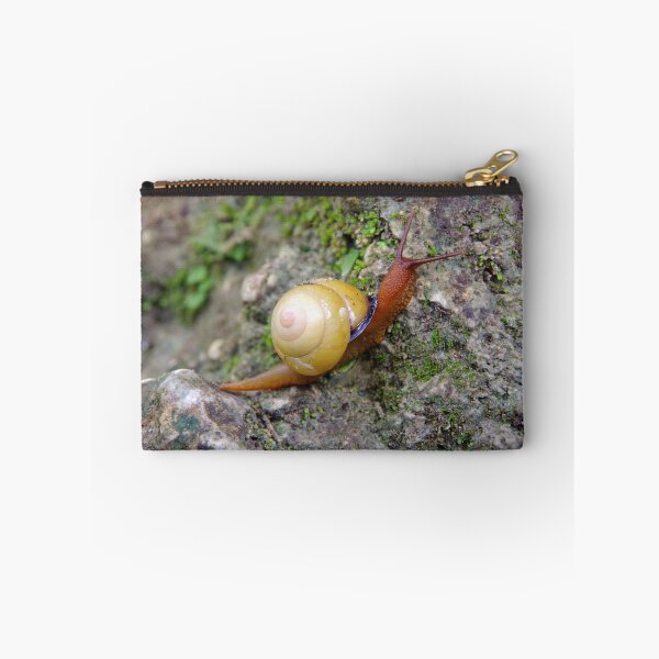 Item preview, Terrestrial Snail at Tumalog Falls Cebu, Philippines designed and sold by The Botanical Jason.