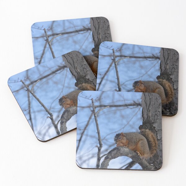 Item preview, Squirrel with a walnut designed and sold by Split2ndPhotos.