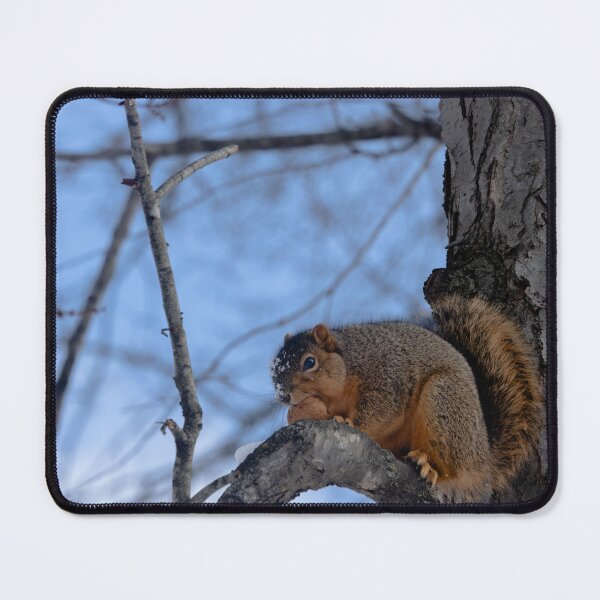 Item preview, Squirrel with a walnut designed and sold by Split2ndPhotos.