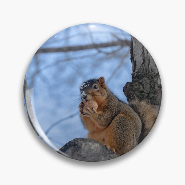 Item preview, Another Squirrel, another nut designed and sold by Split2ndPhotos.