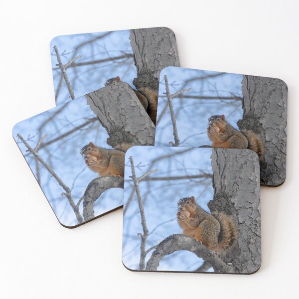 Item preview, Another Squirrel, another nut designed and sold by Split2ndPhotos.