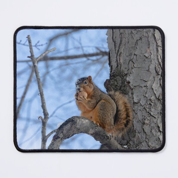 Item preview, Another Squirrel, another nut designed and sold by Split2ndPhotos.