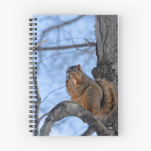 Item preview, Another Squirrel, another nut designed and sold by Split2ndPhotos.
