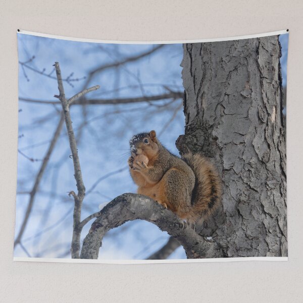 Item preview, Another Squirrel, another nut designed and sold by Split2ndPhotos.