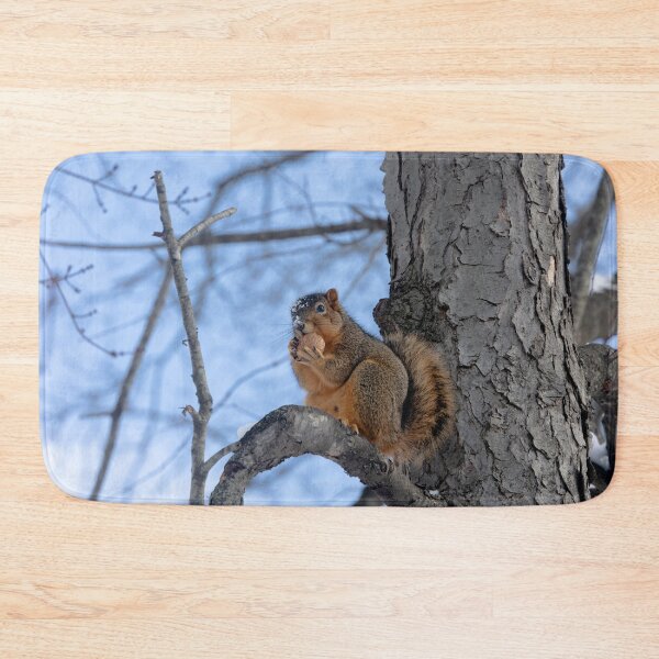 Item preview, Another Squirrel, another nut designed and sold by Split2ndPhotos.