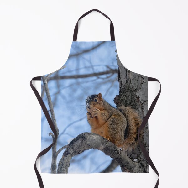 Item preview, Squirrel having a little nibble designed and sold by Split2ndPhotos.