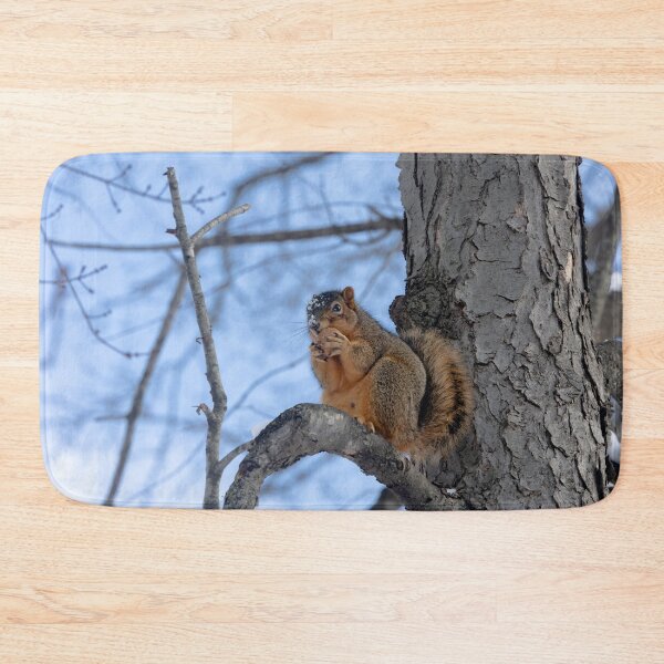 Item preview, Squirrel having a little nibble designed and sold by Split2ndPhotos.
