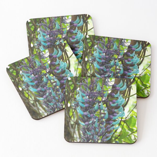 Item preview, Jade Vine Cluster in Ubud, Bali, Indonesia designed and sold by The Botanical Jason.