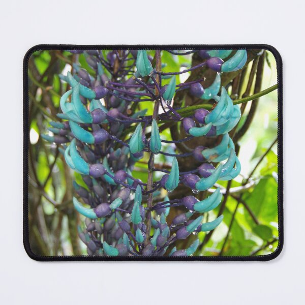 Item preview, Jade Vine Cluster in Ubud, Bali, Indonesia designed and sold by The Botanical Jason.