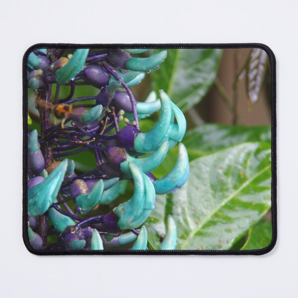 Item preview, Jade Vine Cluster in Ubud, Bali, Indonesia designed and sold by The Botanical Jason.