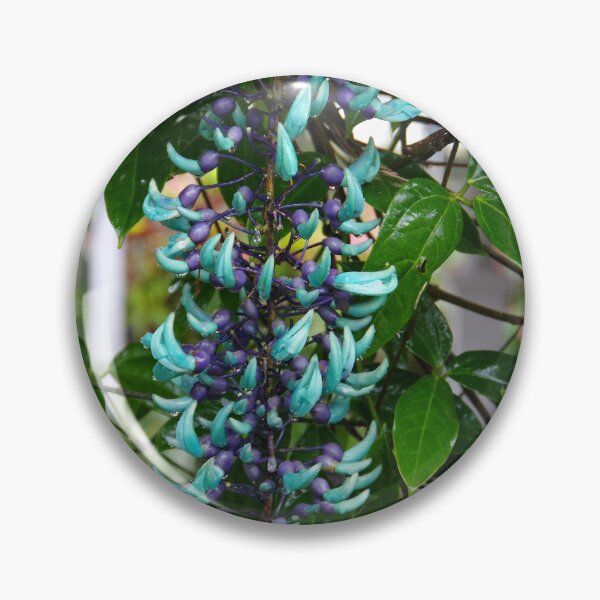 Item preview, Jade Vine Cluster in Ubud, Bali, Indonesia designed and sold by The Botanical Jason.