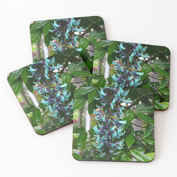 Item preview, Jade Vine Cluster in Ubud, Bali, Indonesia designed and sold by The Botanical Jason.