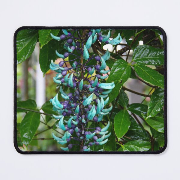 Item preview, Jade Vine Cluster in Ubud, Bali, Indonesia designed and sold by The Botanical Jason.