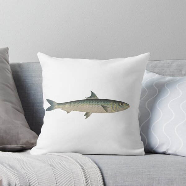 Item preview, Vintage Sardine Illustration | Nautical Art Print designed and sold by Toadstools-Terr.