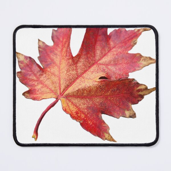 Item preview, Fall Rust and Orange Leaf designed and sold by JohnWhiteCloud.