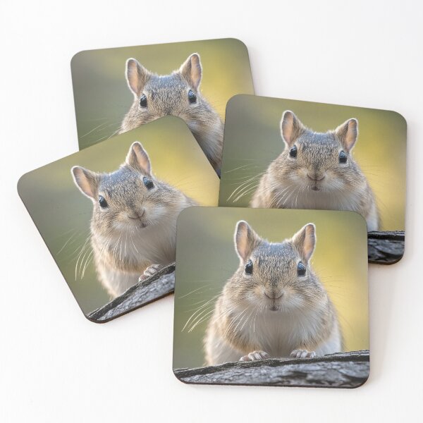Item preview, Degu Face designed and sold by Elisabeth Lucas.