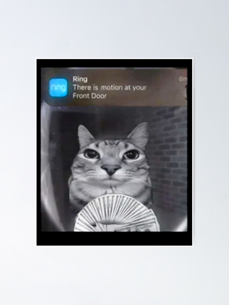 Ring Doorbell Cat Funny Feline Motion Alert Humorous Home