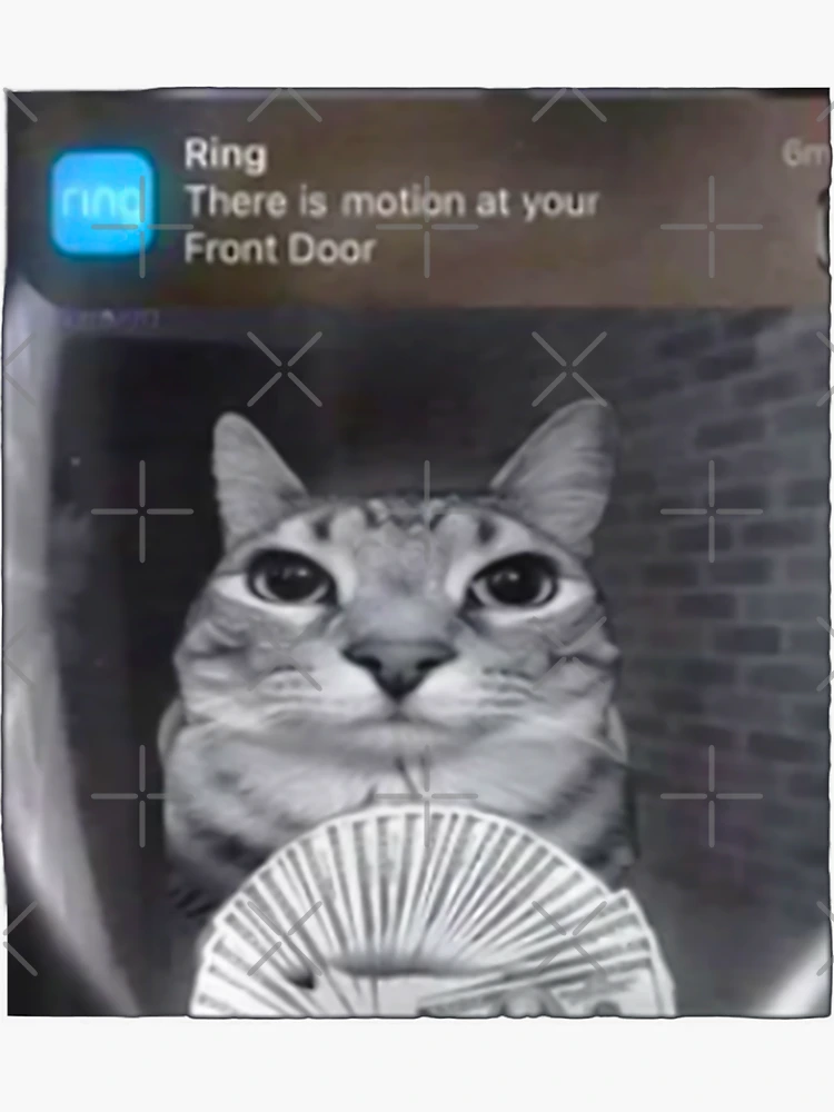 Funny Ring Camera Videos Dog Ring Doorbell Videos Funny Funny Ring