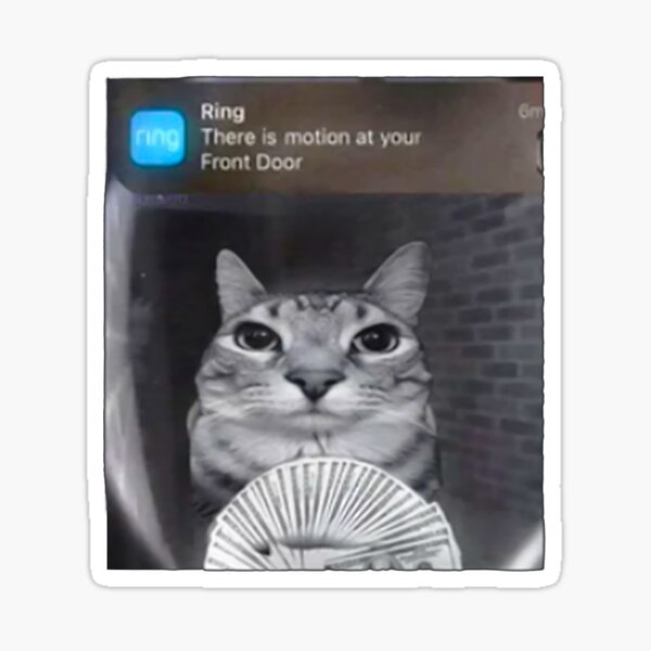 Item preview, Ring Doorbell Cat - Funny Feline Motion Alert -  Humorous Home Security Meme designed and sold by Damcoc.