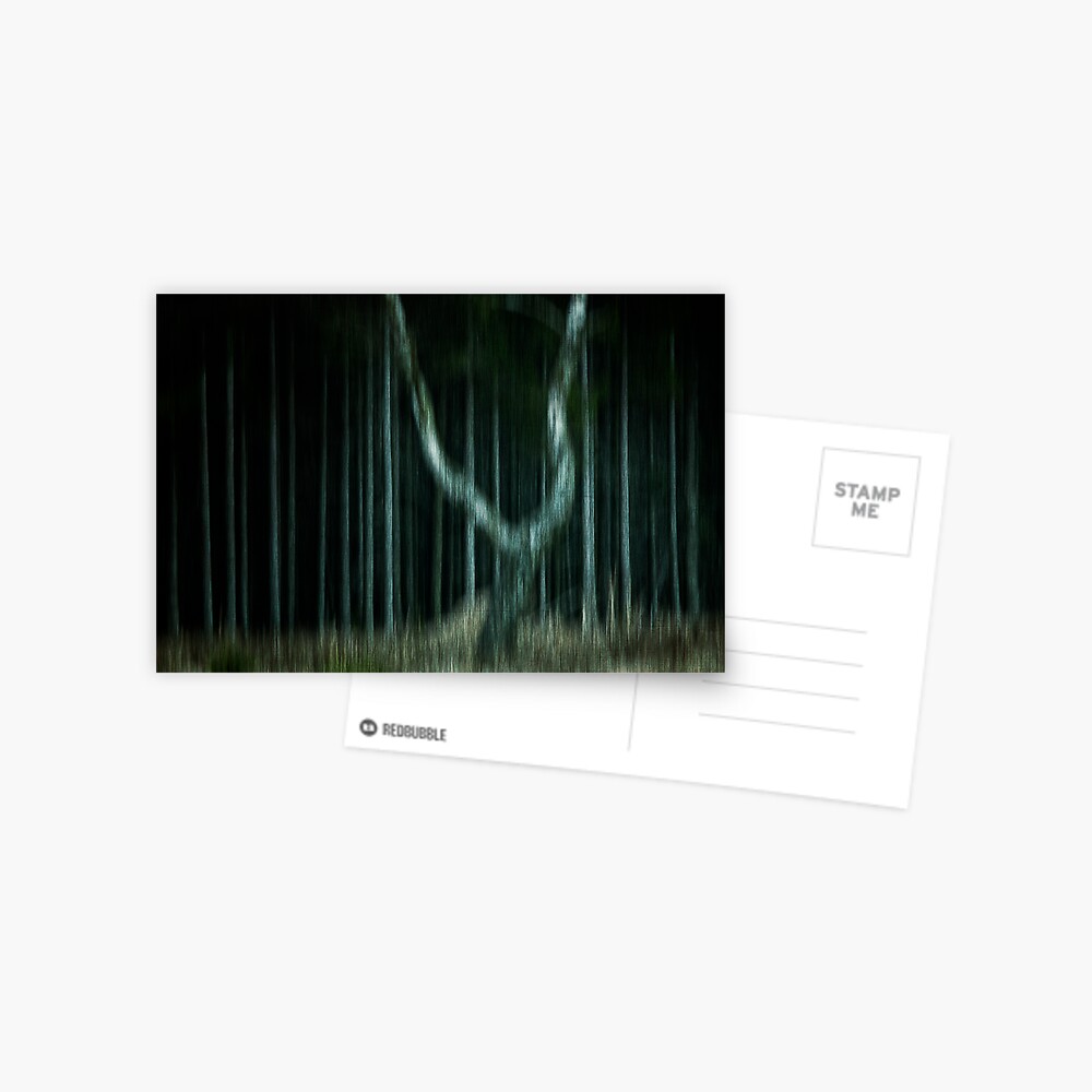 ghost tree Postcard