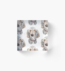 Alert Faithful Intelligent Poodle Acrylic Block