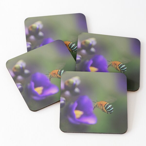 Item preview, Blue Bottomed Bee designed and sold by KirstyStewart.