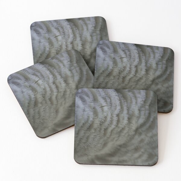 Item preview,  Feathers Macro At Orlando Wetlands Park designed and sold by MercerImages.