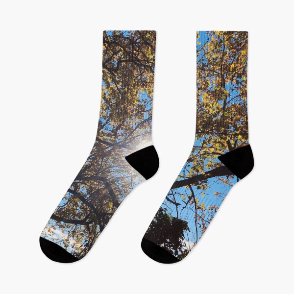 Item preview, Sunshine through the Trees designed and sold by Quoppidou.