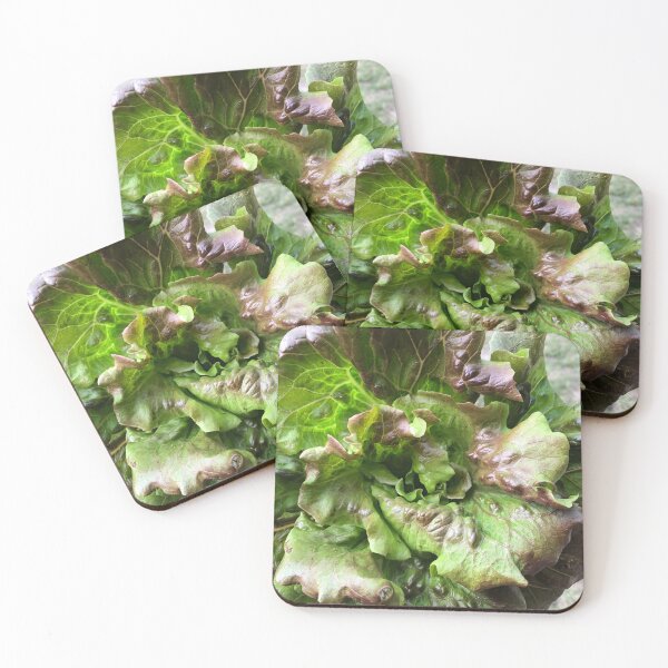 Item preview, Lettuce Green Leafy Fresh Salad from the Vegetable Garden Texture designed and sold by Quoppidou.
