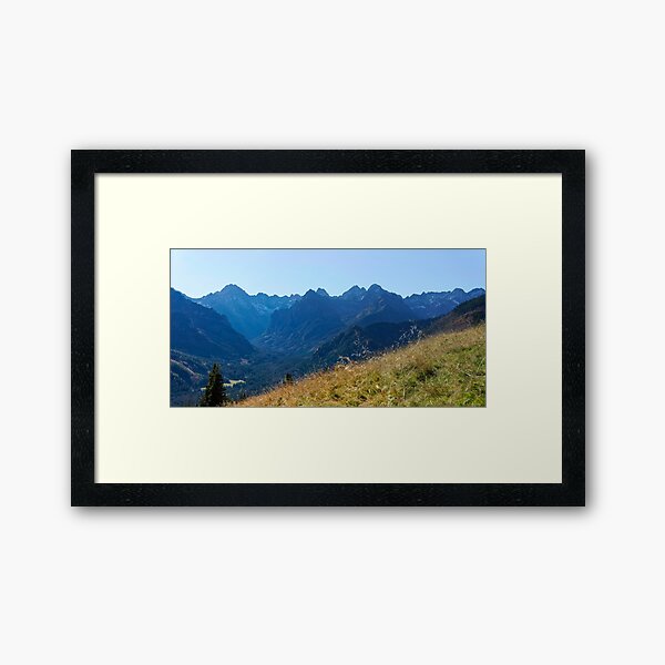 Framed Art Print