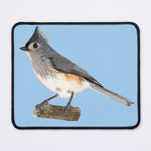 Item preview, Tufted Titmouse Color Design  designed and sold by designsasstultd.