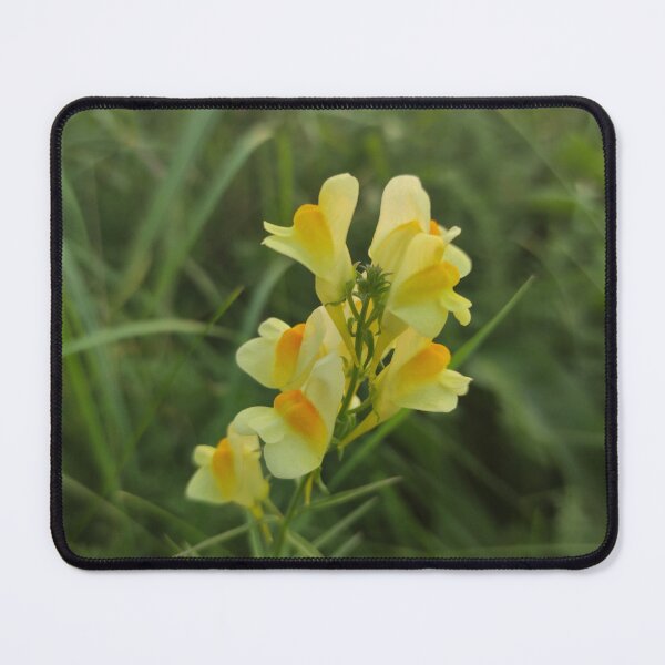 Item preview, Golden-Yellow Flower Magic designed and sold by Ivan  Design.