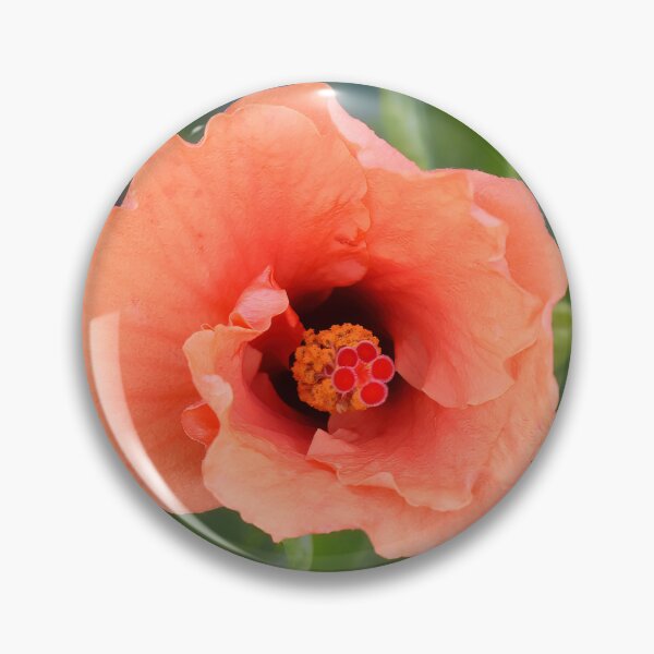Item preview, Vibrancy in Orange designed and sold by bertsworks300.