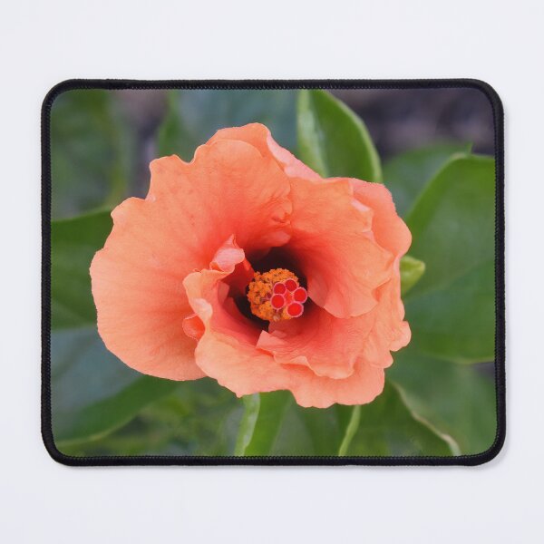 Item preview, Vibrancy in Orange designed and sold by bertsworks300.