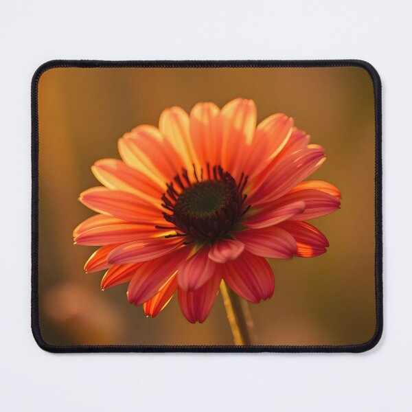 Item preview, Babies Floral Art Collection Magic Nature Photo Art designed and sold by ART ATTACK ZONE.