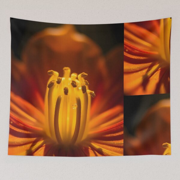 Item preview, King Floral Art Collection Magic Nature Photo Art designed and sold by ART ATTACK ZONE.