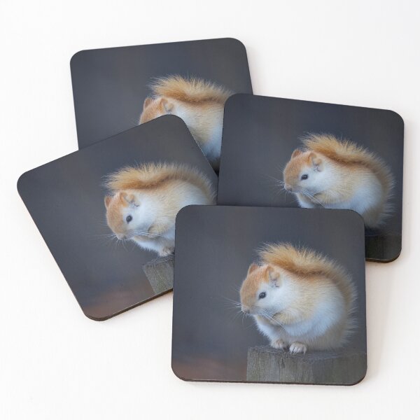 Item preview, White Squirrel on Fence designed and sold by James Cumming.