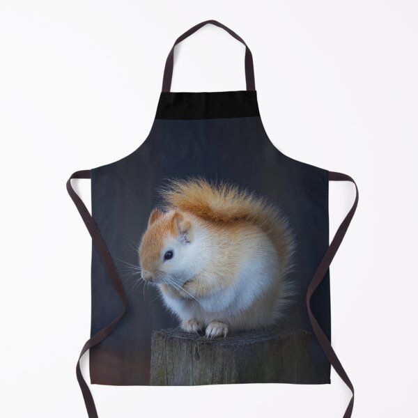 Item preview, White Squirrel on Fence designed and sold by James Cumming.