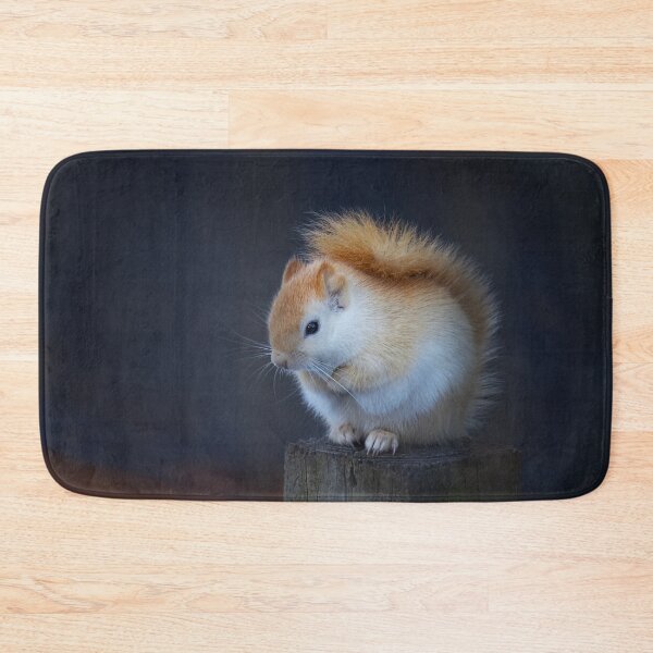 Item preview, White Squirrel on Fence designed and sold by James Cumming.