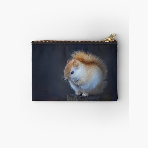 Item preview, White Squirrel on Fence designed and sold by James Cumming.
