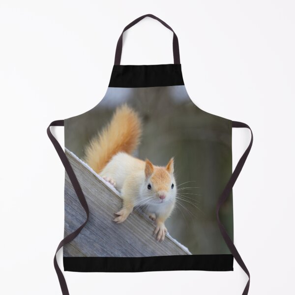 Item preview, White Squirrel in Winter designed and sold by James Cumming.