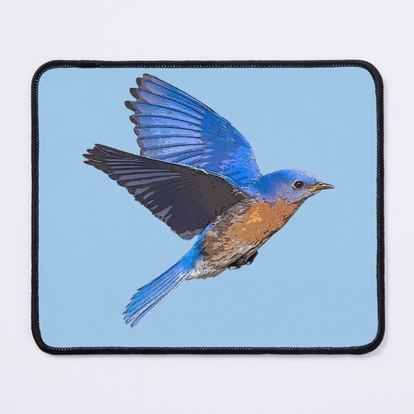 Item preview, Eastern Bluebird Color Design designed and sold by designsasstultd.
