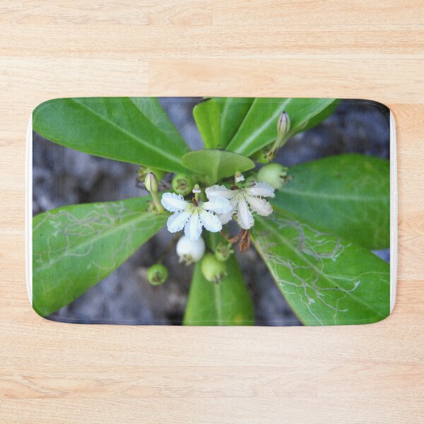Item preview, Beach Naupaka Flowering on Sumilon Island, Philippines designed and sold by The Botanical Jason.