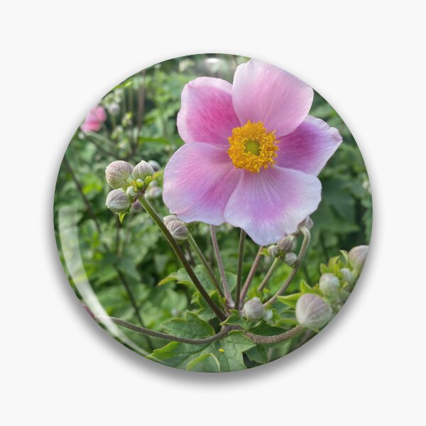 Item preview, Pink Anemone Bloom in Garden Serenity designed and sold by Jessica  Taylor-Cassan.