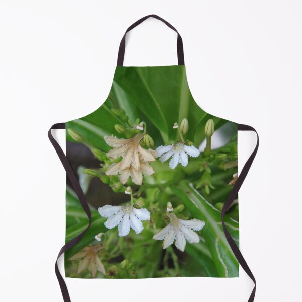 Item preview, Beach Naupaka Flowering on Sumilon Island, Philippines designed and sold by The Botanical Jason.