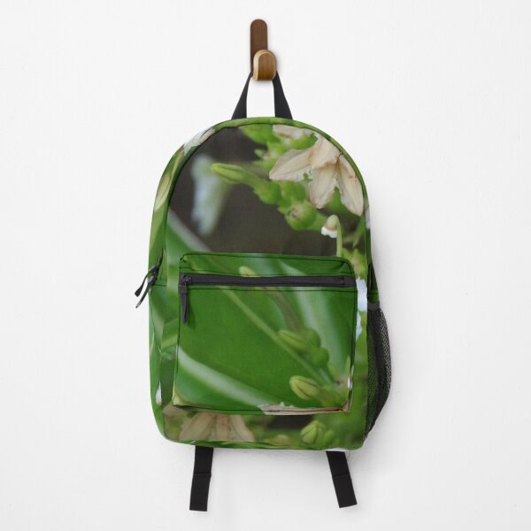 Item preview, Beach Naupaka Flowering on Sumilon Island, Philippines designed and sold by The Botanical Jason.