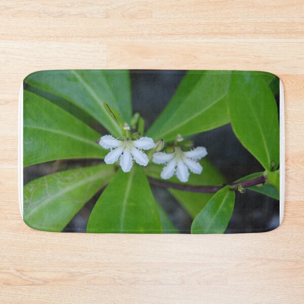 Item preview, Beach Naupaka Flowering on Sumilon Island, Philippines designed and sold by The Botanical Jason.
