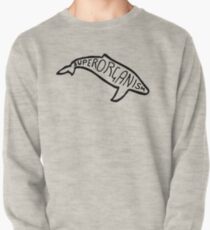 Superorganism fish logo Pullover